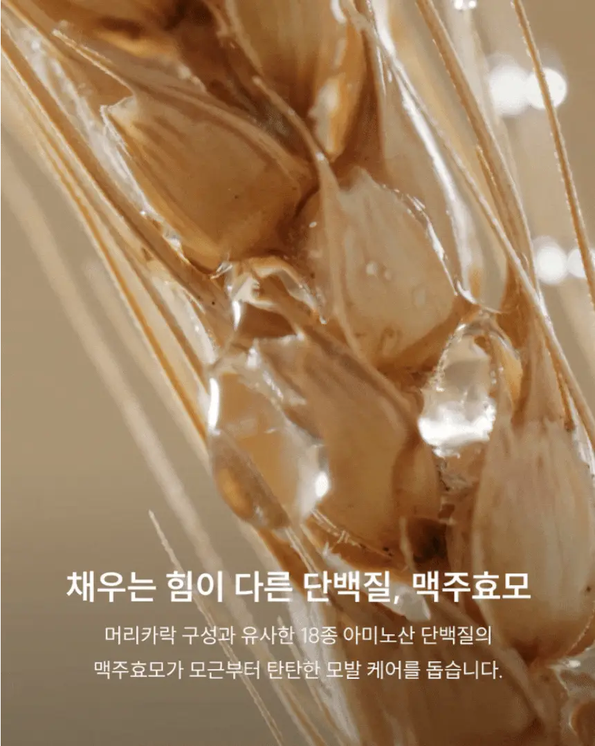 [1등 탈모샴푸 / 특허 맥주효모] 나인밀라 카밍비어 맥주효모 샴푸 500ml 단독 기획 (+샴푸 60ml 증정) 상세페이지 4
